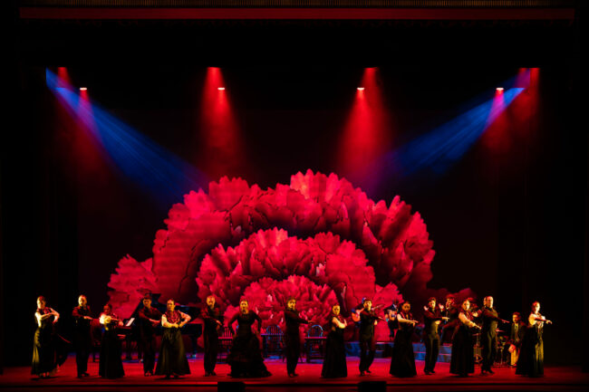 Elenco de 25 artistas de la Compañía Flamenca Antonio Andrade bailando en el escenario de la Royal Opera House de Muscat durante el espectáculo Noches Flamencas, bajo iluminación escénica roja y azul con una gran flor proyectada de fondo.